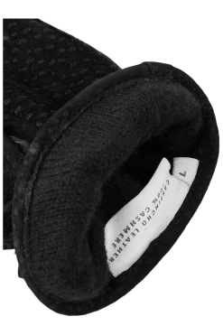 Outlet Men's Winston Carpincho Nubuck Gloves Gloves